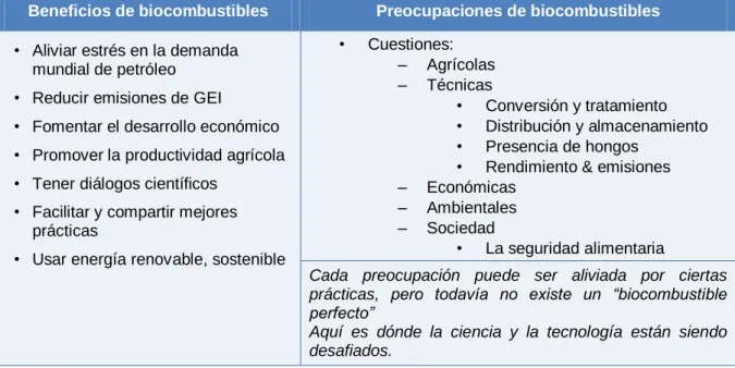 Cuadro 2.1:  Beneficios y preocupaciones de los biocombustibles. 