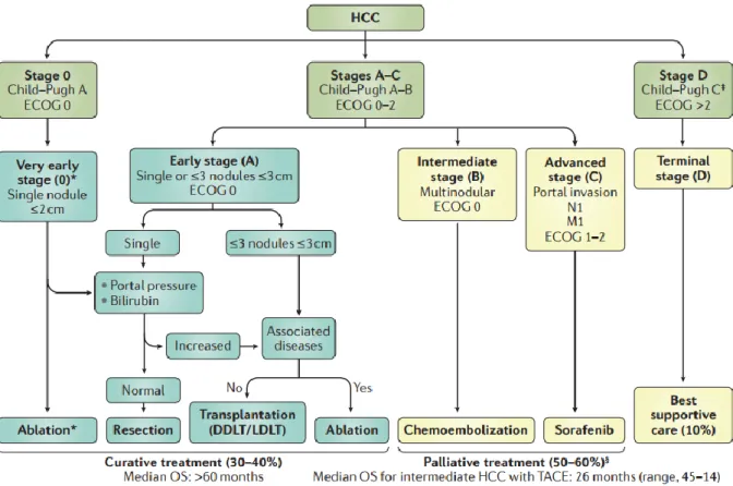 Figure  1 :  Stades  selon  la  classification  BCLC  et  stratégies  thérapeutiques.  Stade  0  et  A :  traitements  curatifs  tels  que  l’ablation,  la  résection  et  la  transplantation
