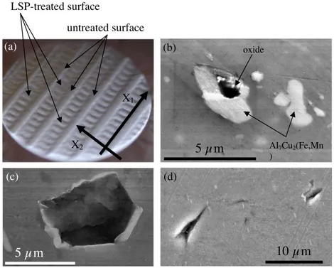 Fig. 1. (a) Optical image of the sample after LSP treatment. (b) FE-SEM/EDS image of constituent particles in AA2050-T8 aluminium alloy after mechanical polishing