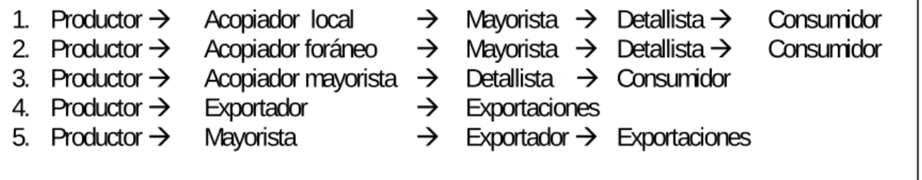 Gráfico No. 9 