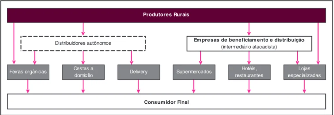 Figura 3. Brasil: canais de distribuição de produtos orgânicosFigura 3. Brasil: canais de distribuição de produtos orgânicosFigura 3