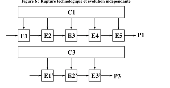 Figure 6 : Rupture technologique et évolution indépendante 