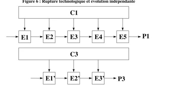 Figure 6 : Rupture technologique et évolution indépendante 