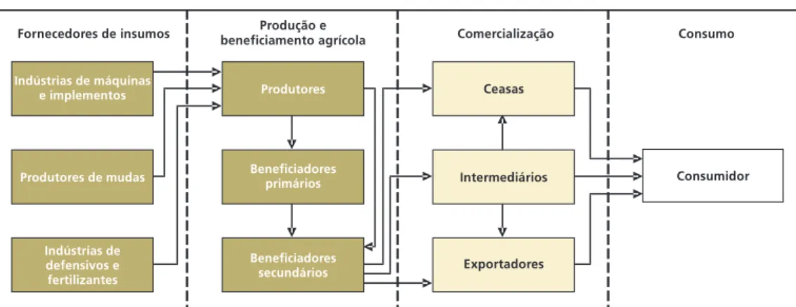 Figura 1. Brasil: estrutura da cadeia de produtiva de frutasFigura 1. Brasil: estrutura da cadeia de produtiva de frutasFigura 1