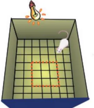 Figure 2 : Dispositif «  Champ ouvert » [11] 