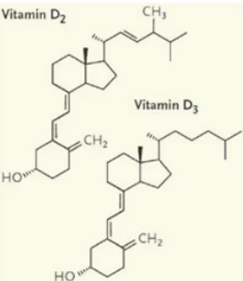 Figure 1 : Structures chimiques des vitamines D 2  et D 3(1)