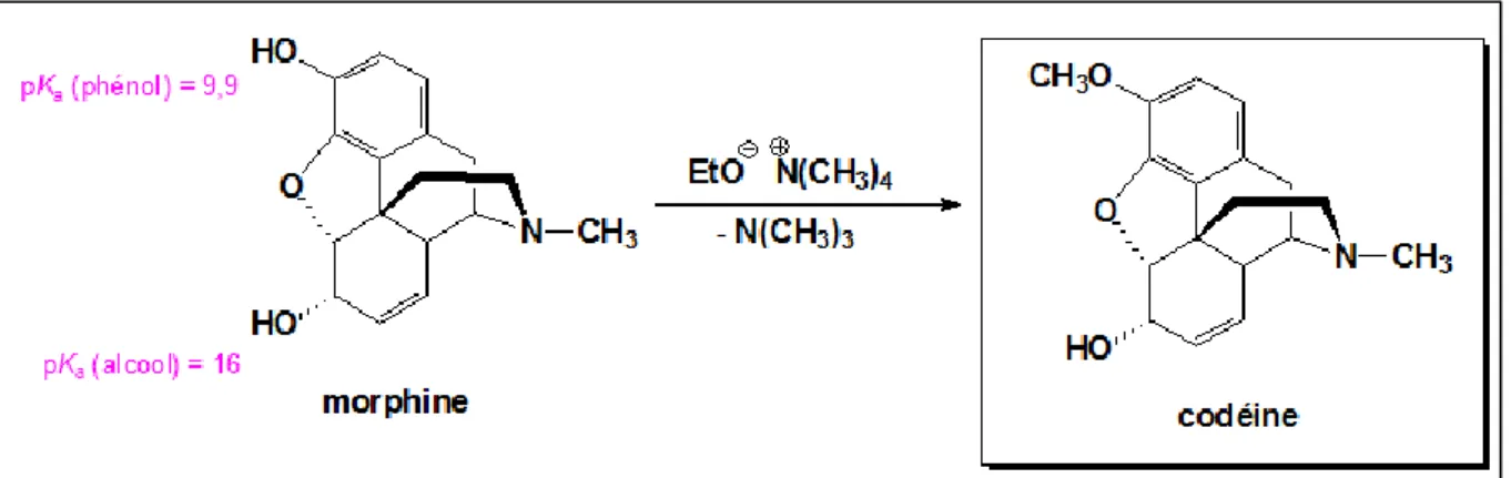 Figure 8: Synthèse de la codéine à partir de la morphine  2.3.2.2.  A partir de la thébaïne 