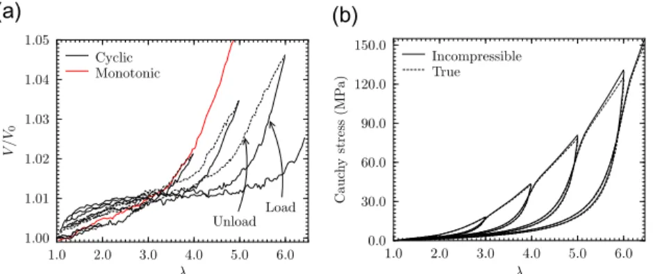 Fig. 1a shows the volume changes occurring during a monotonic loading and during a cyclic loading with an increasing maximum stretch of D k ¼ 1 at each cycle