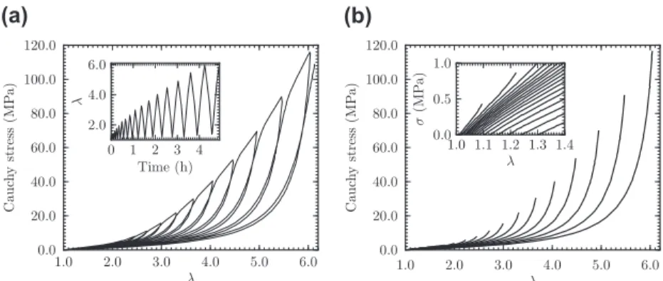 Fig. 4. Material stress-stretch response to a uniaxial tensile cyclic test with maximum stretch increasing at each cycle