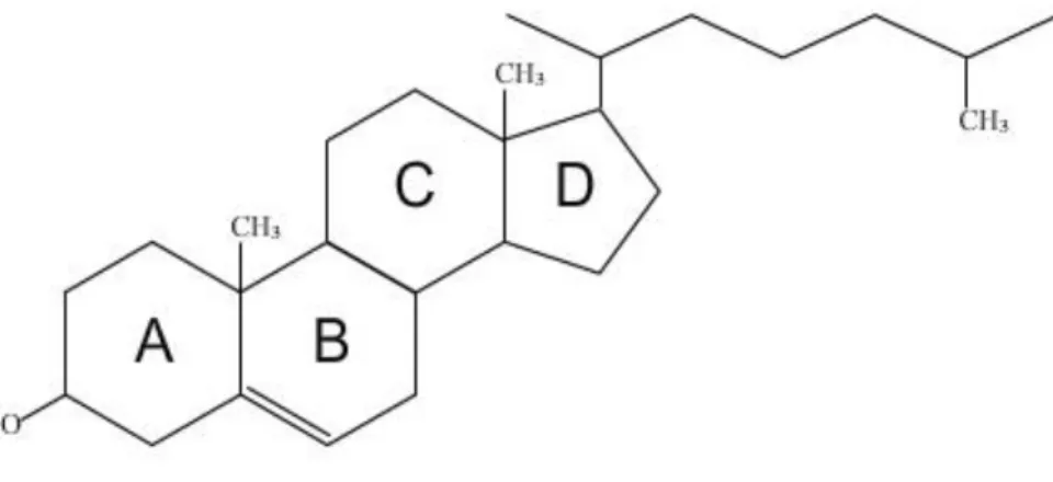 Figure 1 : Formule développée du cholestérol (Camus, 2018) 