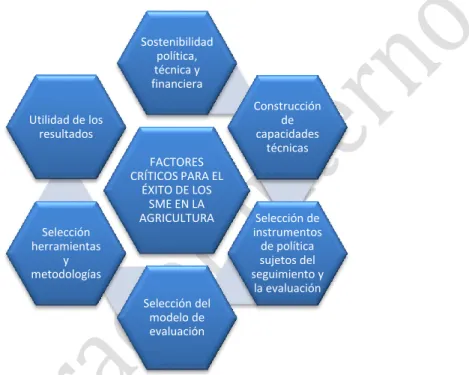 Figura 4. Factores críticos para la gestión de los SME en la agricultura. 