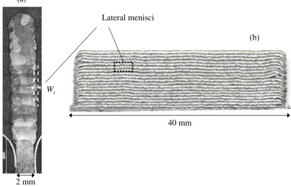 Figure 5 : Macrographs of a deposited thin wall : (a) cross-section view,  (b) longitudinal view  