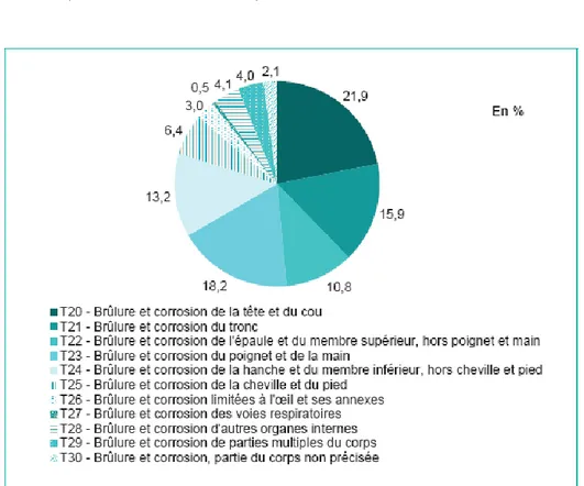 Graphique 3 : Répartition des parties lésées des patients victimes de brûlures, PMSI-MCO,  France métropolitaine, 2011 (N = 8 130) 