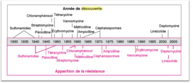 Figure   8   :   Chronologie   de   la   découverte   des   antibiotiques   et   date   d’identification   de    souches   résistantes   correspondantes   (extrait   du   livre   «   microbiologie   »   édition   Dunod   