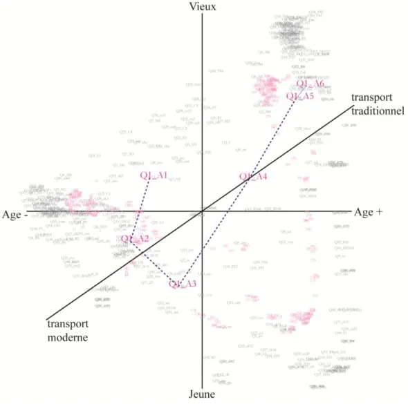 Figure 1.1.29 : les classes d’âges dans la mobilité 