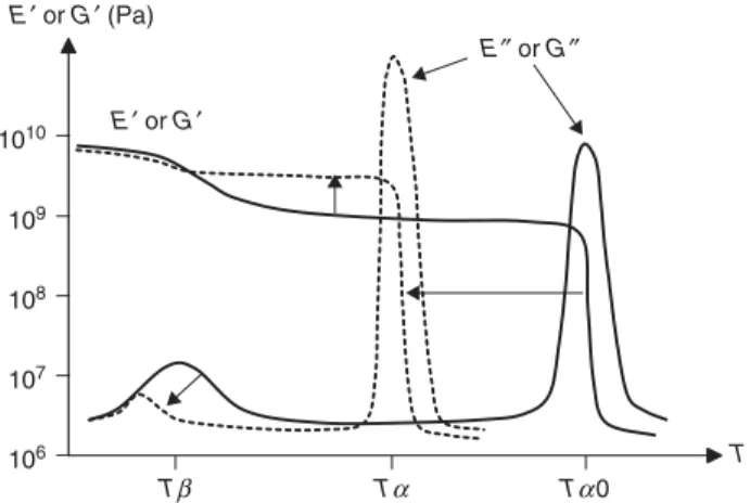 Figure 11. Shape of dynamic mechanical analysis (DMA) curves for a network before (full line) and after degradation (dashed line).