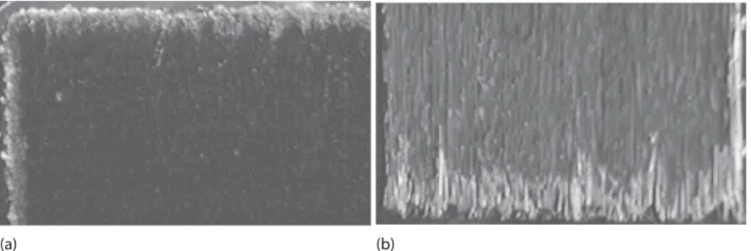Figure 3. Oxidized layer in a carbon fibers/epoxy matrix composite having 65 vol% of fibers (a) parallel and (b) perpendicular to the free surface after 200 h of exposure to air at 200 ◦ C [27].