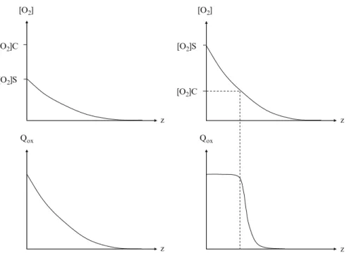 Fig. 8.8 Shape of oxygen concentration profile ( above ) and oxidation conversion profile ( below ).