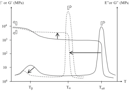Fig. 8.10 Thermomechanical spectra of a network before ( full lines ) and after ( dashed lines ) degradation