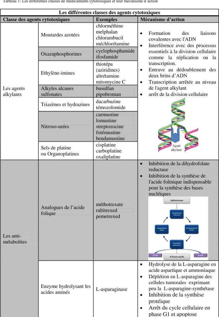 Tableau 1: Les différentes classes de médicaments cytotoxiques et leur mécanisme d’action