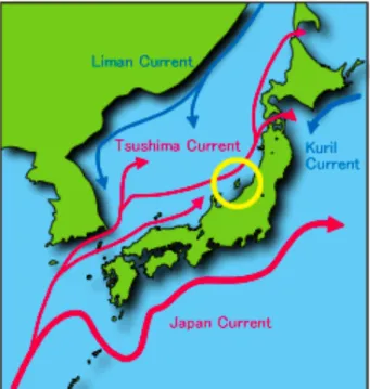 Figure 11. Courants chaud et froid du Japon(13) 