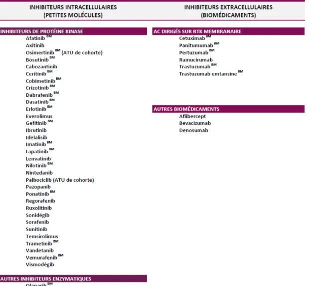 Tableau  1 :  Liste  des  43  thérapies  ciblées  autorisées  (AMM  et  ATU  de  cohorte)  dans  le  traitement du cancer fin 2015 10