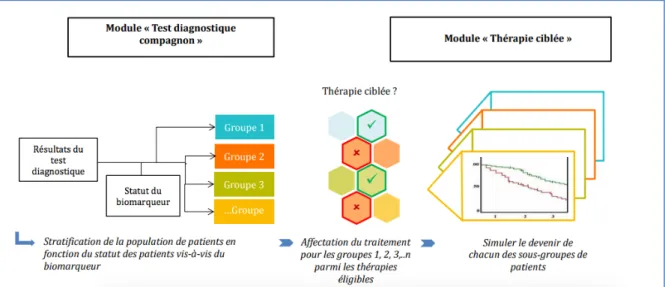 Figure 3 : Eligibilité des patients 16