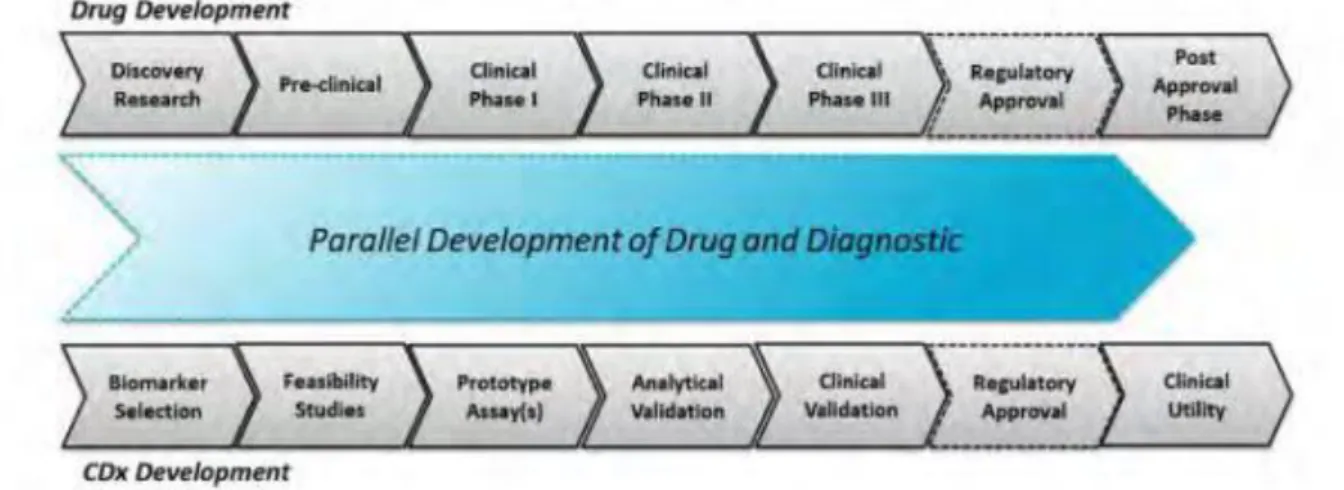 Figure 4 : Co-développement d’un médicament et d’un test compagnon 29