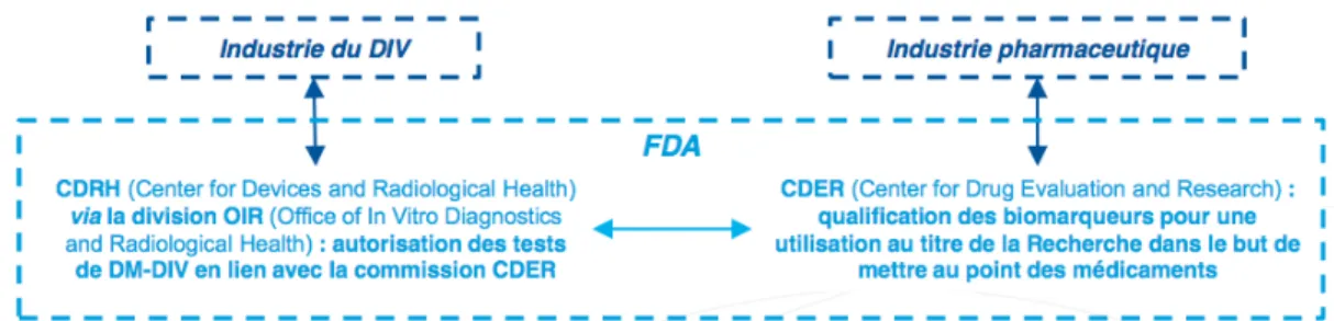 Figure 6 : Equipes dédiées au développement des biomarqueurs au sein des deux commissions  de la FDA  29
