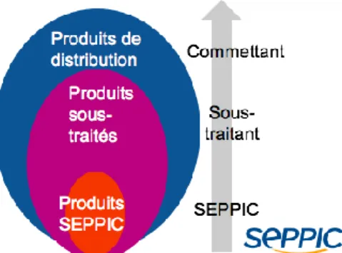 Figure 4 - schéma représentant les différents produits suivis par SEPPIC 