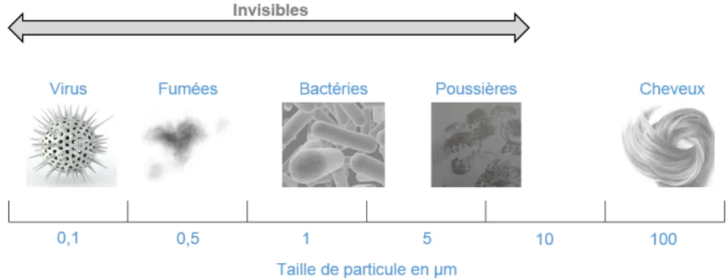 Figure 1 : Exemples de tailles de contaminants fréquemment rencontrés (Figure originale) 