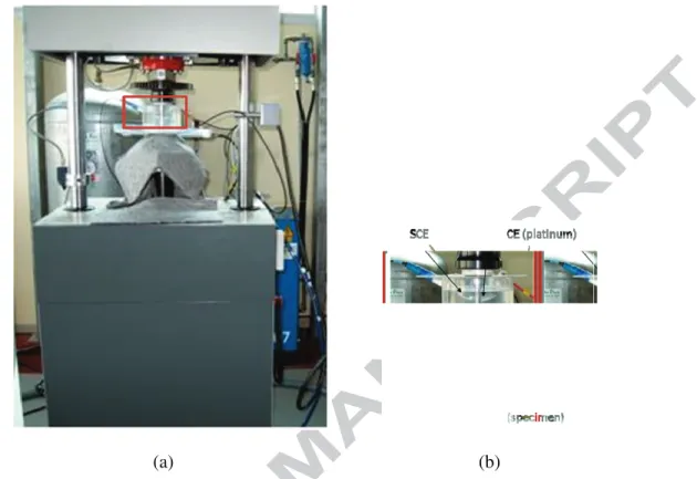 Figure 3: In-situ corrosion fatigue cell with potentiostatic measurements. The specimen is  isolated from the fatigue testing machine (Vibrophore) 