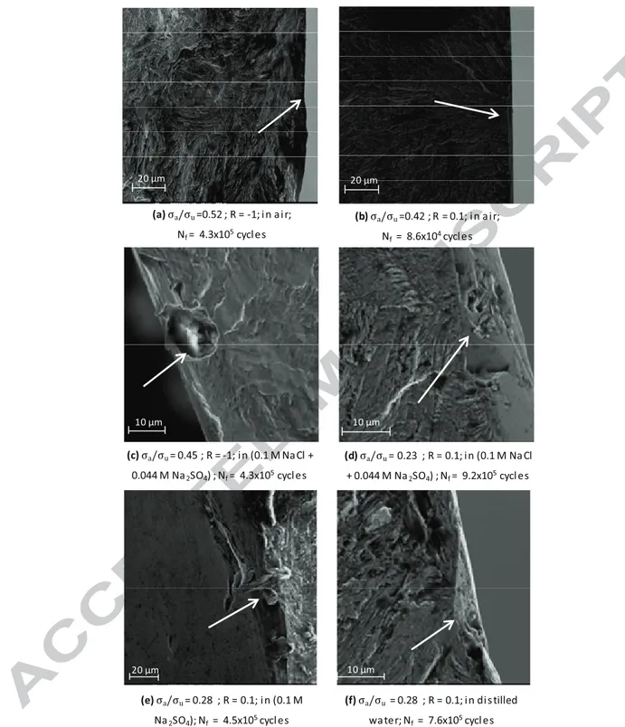 Figure 5: Crack initiation sites in air and under corrosion fatigue in the aqueous solutions 