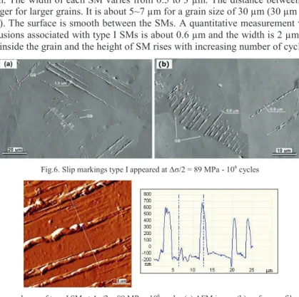 Figure 8a shows examples of SEM micrographs of SM type II. As SM type I, they are long and straight but  they are isolated