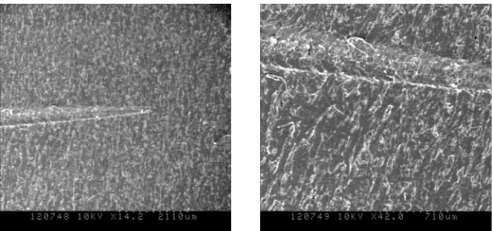 Figure 7. The scratch surface damage observed using scanning electron micrographs on PEEK- PEEK-S01 under the scratching load of 50N and scratching velocity of 10mm/min 