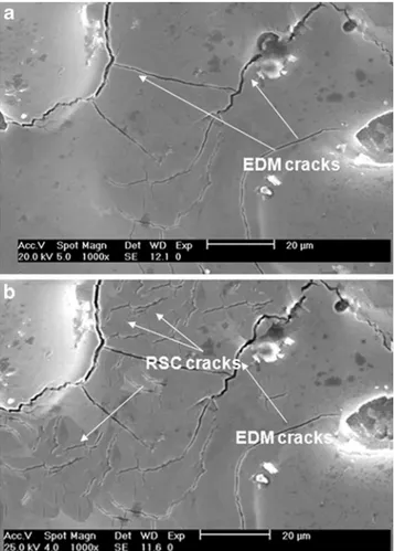 Fig. 16 Selective dissolution of interdendritic spaces after DL-EPR test performed in a solution of H 2 SO 4 0.5 M+NH 4 SCN 0.01 M at 20°C and under 2.5 mV/s a before DL-EPR test and b after DL-EPR test interdendritic dissolution