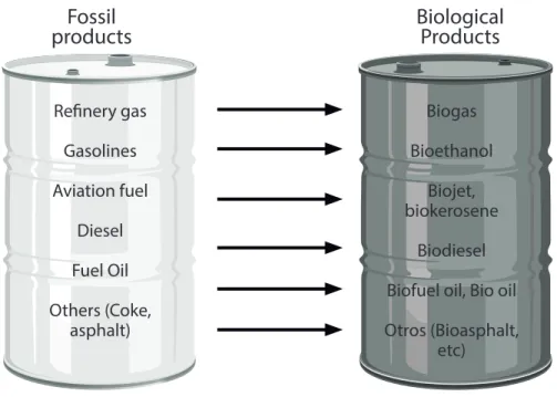 Figure 1: Fossil fuel products derived from petroleum refining and comparable products deri- deri-ved from biomass refining.