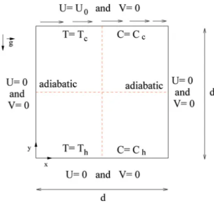 Figure 6. Geometry of the nonisothermal cavity with mass transport (color ﬁgure available online).