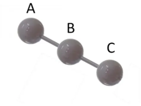 Figure 5. Rôle des segments 