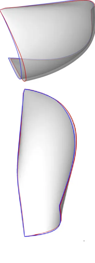 Figure 6 : Result of trimming algorithm on the length  of the two gennakers sheets (red line: gen