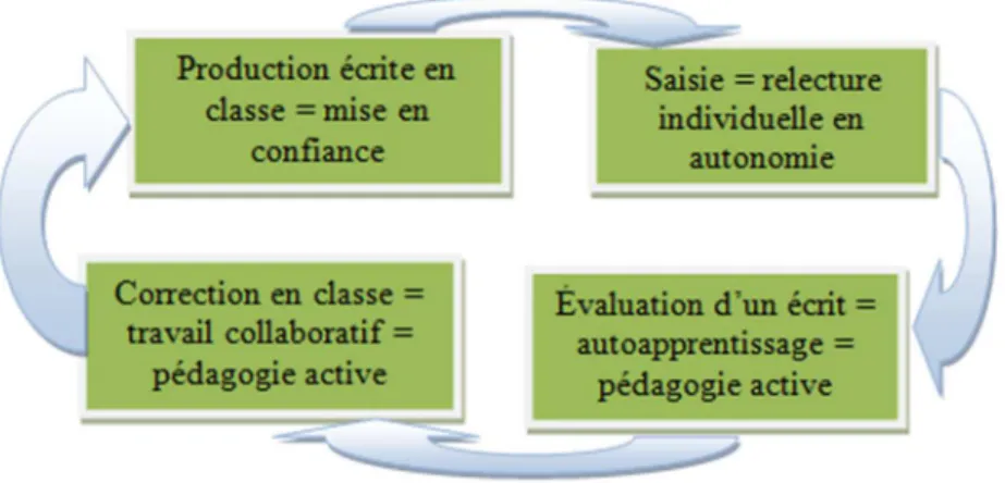 Figure 5. – Structure du cours « Compétences rédactionnelles » en L1 LEA  