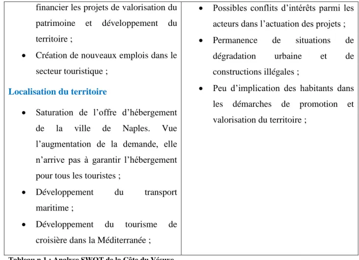 Tableau n.1 : Analyse SWOT de la Côte du Vésuve 