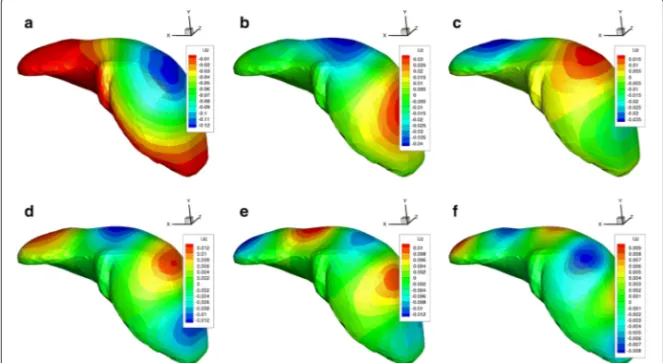 Figure 5 Spatial modes of the liver solution. Six first functions X 3 k (x), k = 1, . 