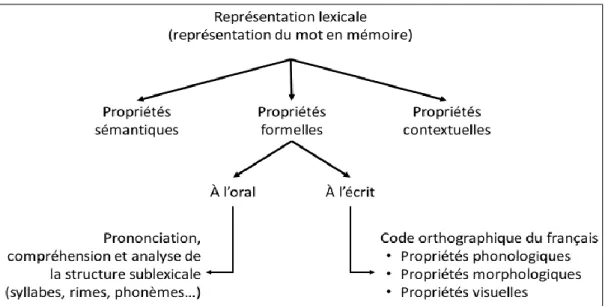 Figure 1.1. Schématisation du concept de représentation lexicale. 