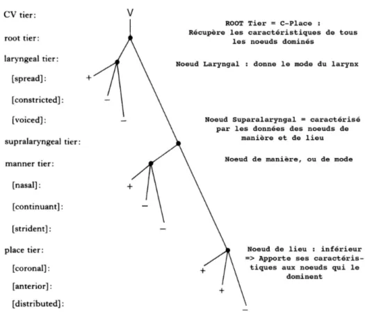 Figure 1.1 – Organisation hiérarchisée des traits, exemple d’une voyelle nasale sourde – d’après Cle- Cle-ments (1985, p