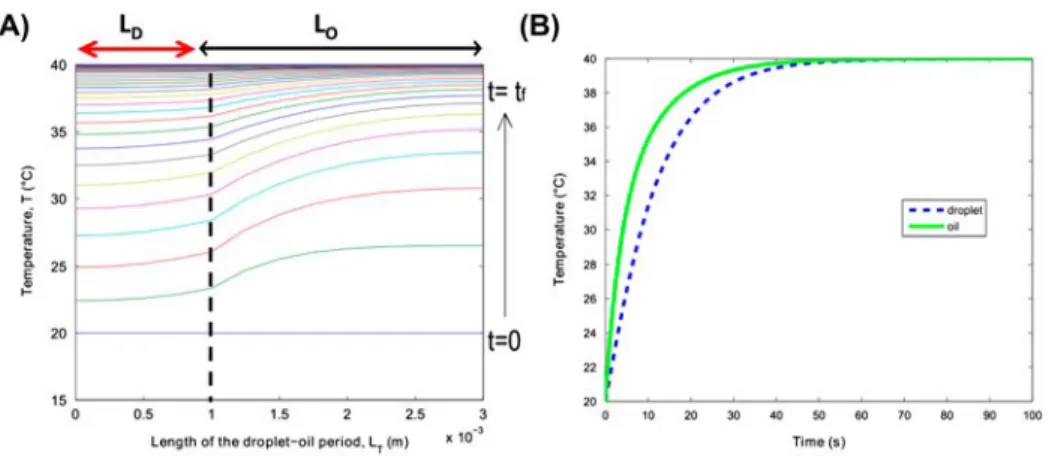 Figure  12.  (A)  Calculated   temperature   pro ﬁ les   along   the   z-axis   as   functions   of   time   for  T D0  = 20 °C  and  T O0  = 20 °C,  where  the  imposed  wall  temperature  is T p  = 40 °C,  for  a  given  ratio  of  R  =  2  corresponding