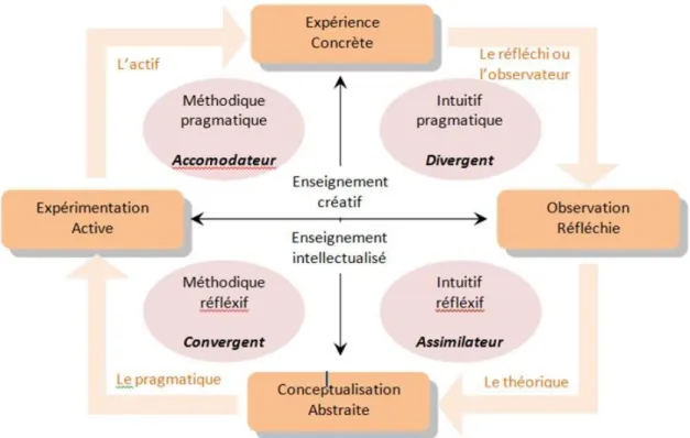 Figure n°2 : les styles d’apprentissage d’après Kolb 