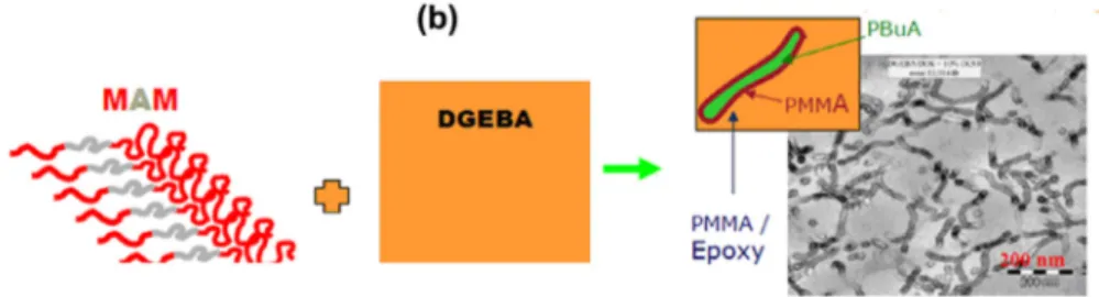 Fig. 1. (a) Schematic representation of Arkema’s MAM Nanostrength Ò block copolymers, (b) TEM images of self assembled nanostructures in epoxy resin.