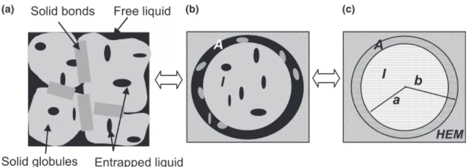Figure 4 (a) Schematic representation of the semisolid microstructure. (b) Representation of the four mechanical phases distributed in one inclusion of solid containing entrapped liquid surrounded by a shell of free liquid and solid bonds