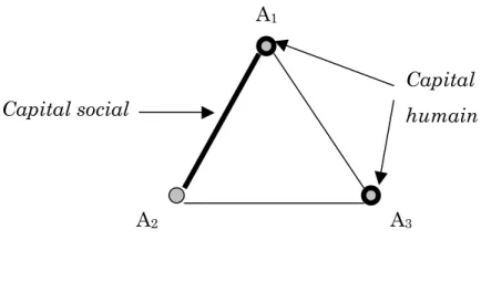 Figure 1.3.  Coleman  place  le  capital  humain  dans  les  individus  et  le  capital social dans leurs relations 49